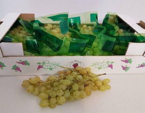 صادرات سولفورپد انگور